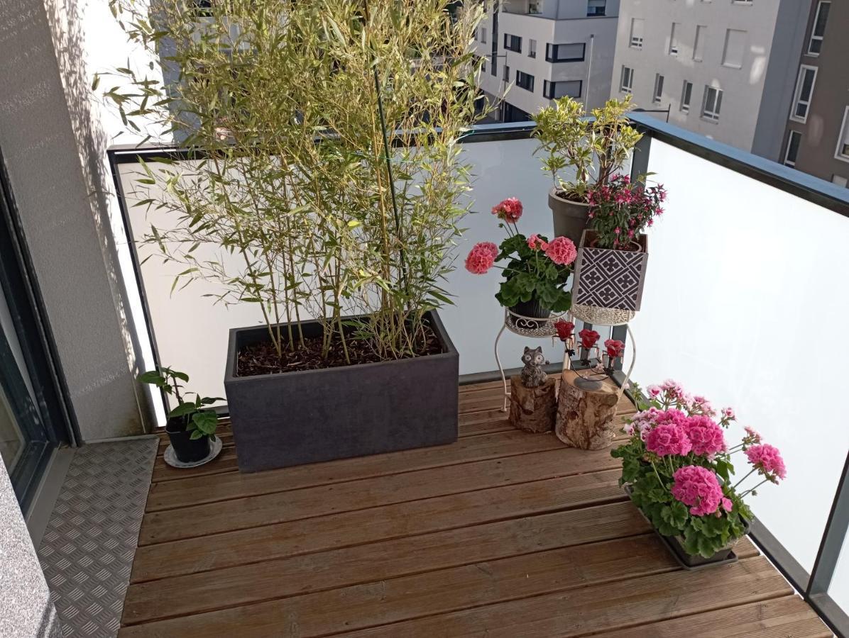 Chambre Nature Chez L'Habitant Straatsburg Buitenkant foto